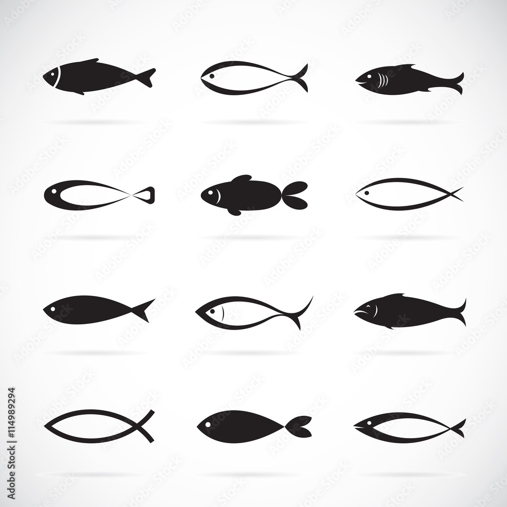 Obraz premium Set of vector fish icons on white background, Vector fish icons