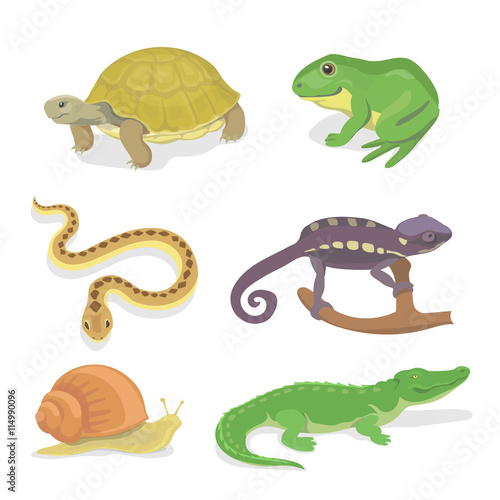 Reptiles and amphibians decorative set of crocodile turtle snake chameleon icons in cartoon style isolated vector illustration