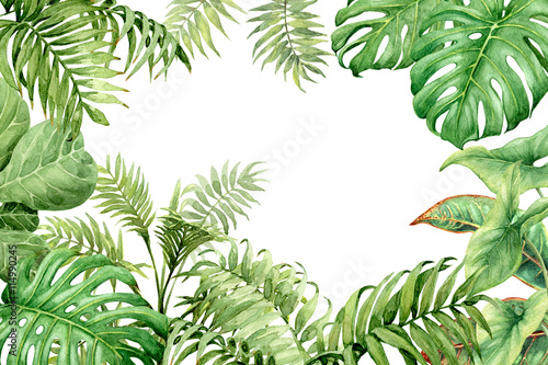 Watercolor green background with tropical plants