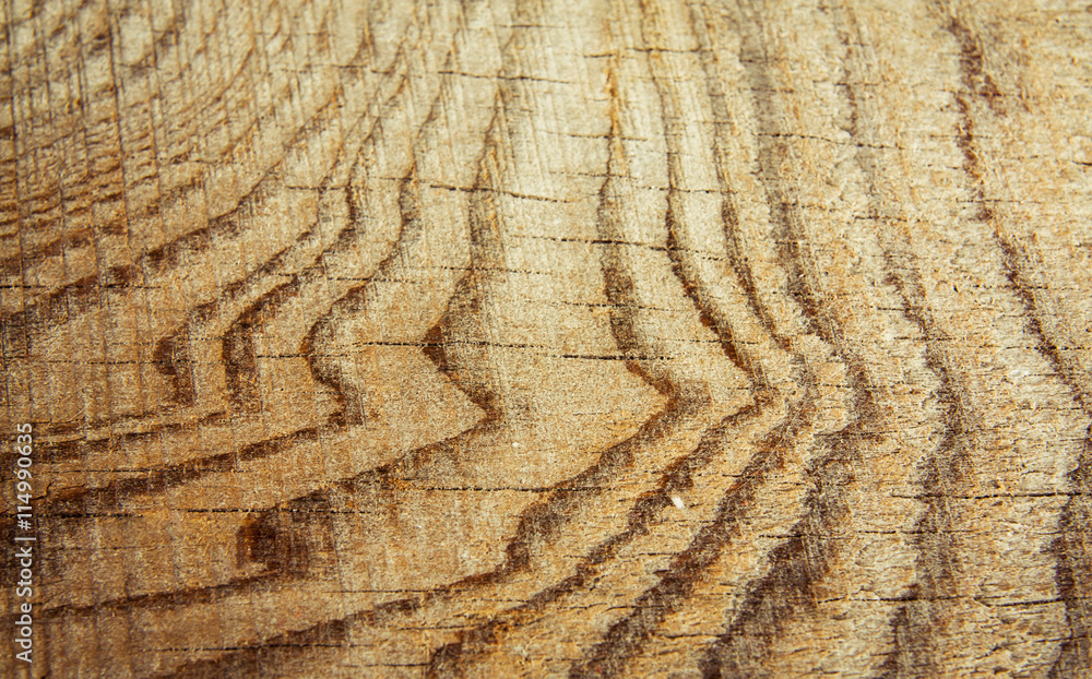 Fototapeta premium wood texture