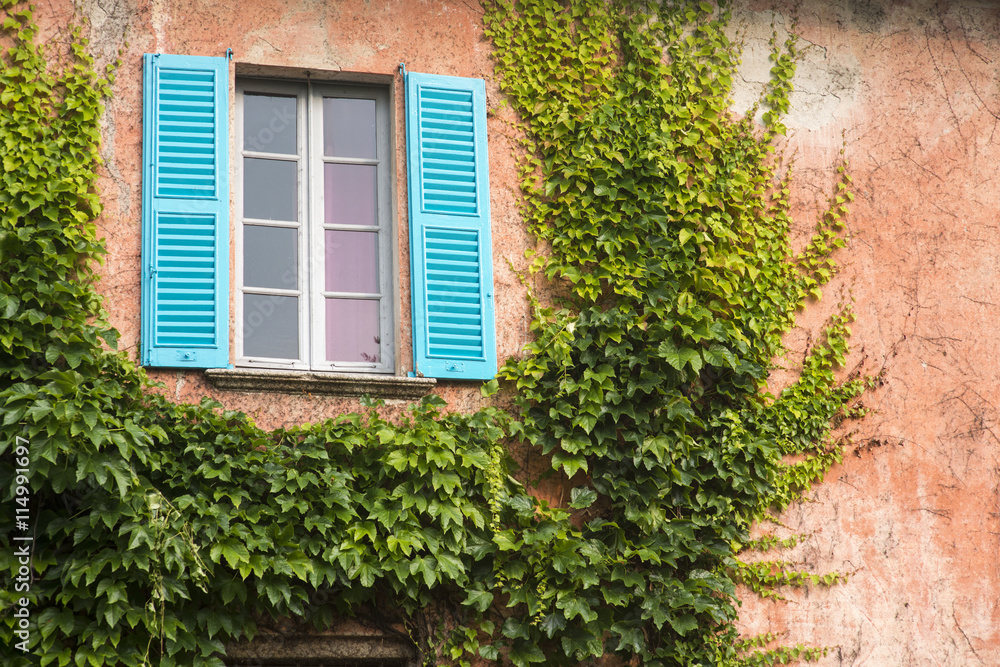 Window and ivy on a typical Italian country house