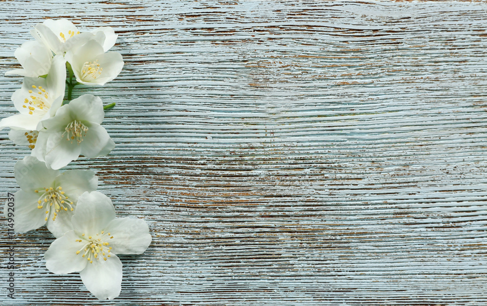 Fresh jasmine flowers on wooden background Fresh jasmine flowers on wooden background