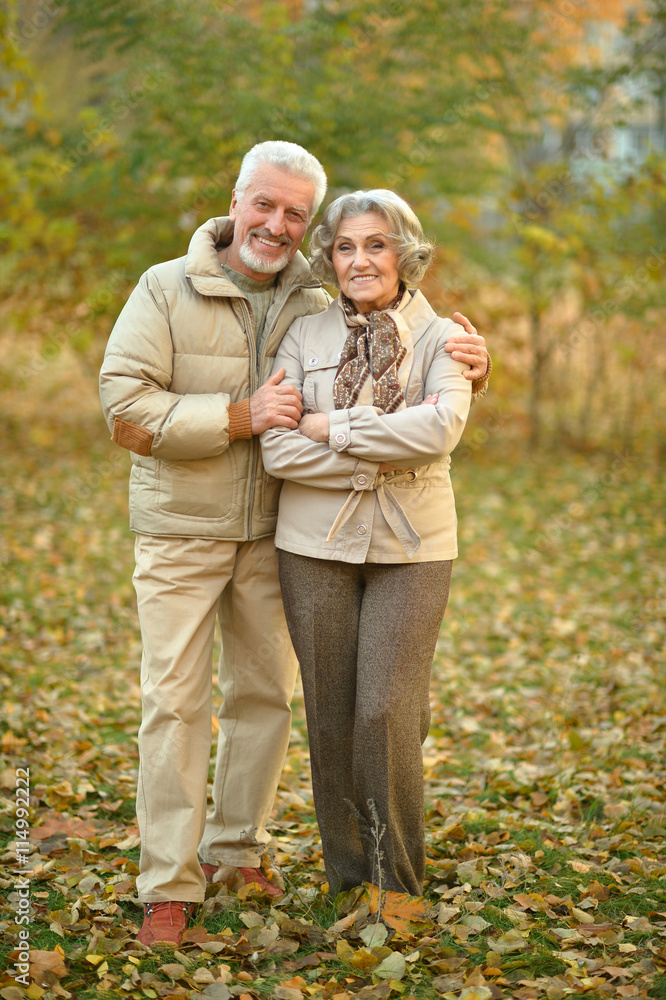 Senior couple in autumn park Senior couple in autumn park