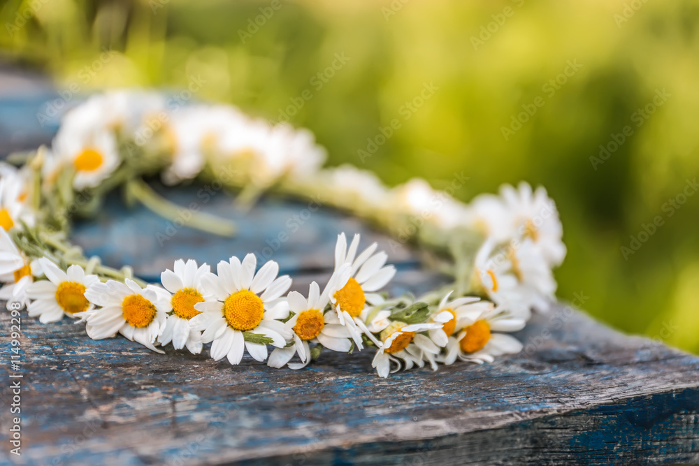 Obraz premium Chamomile wreath, closeup