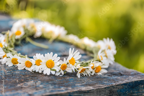 Fototapeta Naklejka Na Ścianę i Meble -  Chamomile wreath, closeup