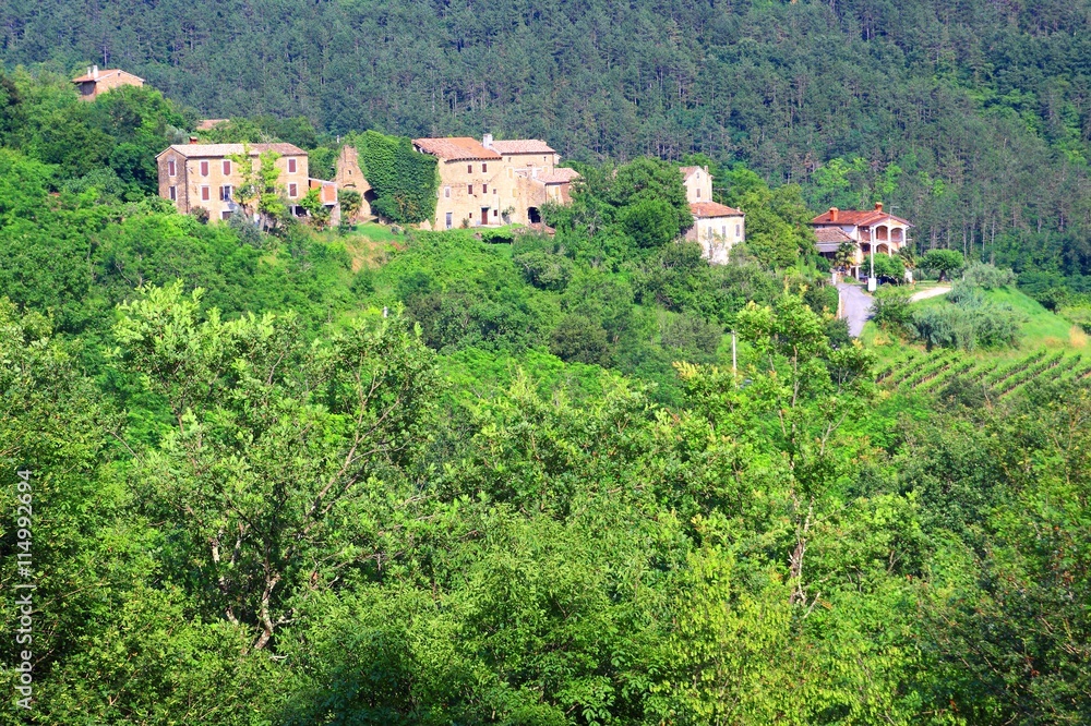 Stone houses for vacation in Istria, Croatia