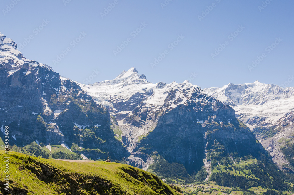 Grindelwald, Berner Oberland, Schreckhorn, Grindelwaldgletscher, Wetterhorn, First, Wanderweg, Sommer, Schweiz