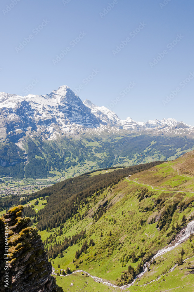 Naklejka premium Grindelwald, Dorf, Berner Oberland, Alpen, Schweizer Berge, First, Wanderweg, Waldspitz, Eiger, Eigernordwand, Mönch, Jungfrau, Sommer, Schweiz