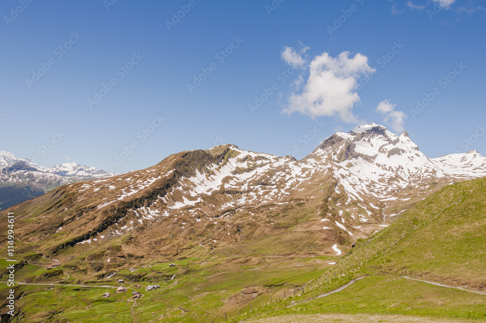 Grindelwald, Dorf, Berner Oberland, Alpen, Schweizer Berge, Waldspitz, Alm, Wanderweg, Sommer, Sommerferien, Schweiz