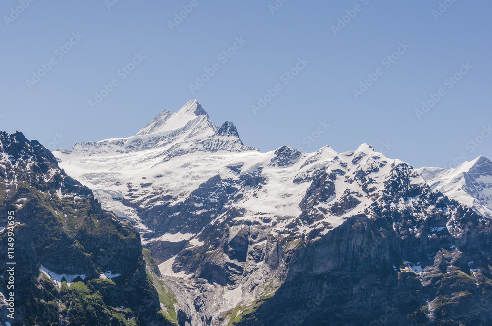 Grindelwald, Alpen, Berner Oberland, Schreckhorn, Grindelwaldgletscher, Schweizer Berge, Sommer, Schweiz