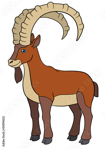 Cartoon animals. Cute beautiful ibex smiles.