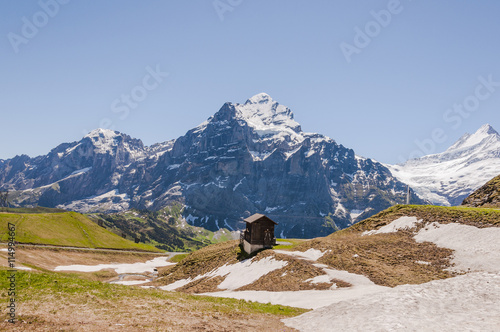 Grindelwald, Berner Oberland, Wetterhorn, Grosse Scheidegg, Engelhörner, Schreckfeld, First, Wanderweg, Bergbahnen, Alpen, Schweizer Berge, Sommer, Schweiz