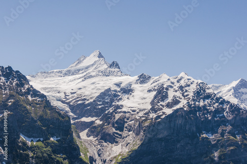 Grindelwald, Alpen, Berner Oberland, Schreckhorn, Grindelwaldgletscher, Schweizer Berge, Sommer, Schweiz