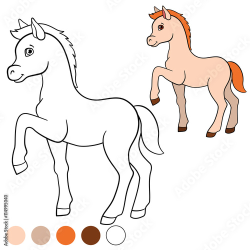 Coloring page. Color me: horse. Little cute foal. © ya_mayka