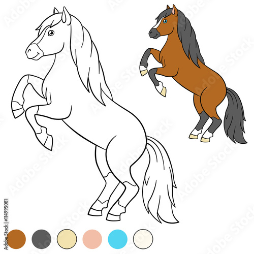 Coloring page. Color me: horse. Beautiful horse.