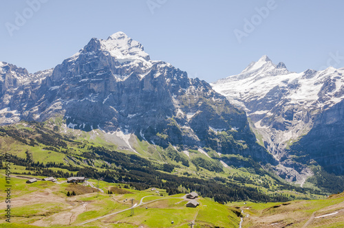 Grindelwald  Berner Oberland  Alpen  Wetterhorn  Schreckhorn  Grosse Scheidegg  Wanderweg  Schreckfeld  First  Grindelwaldgletscher  Sommer  Schweiz