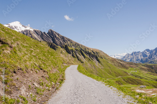 Grindelwald, Berner Oberland, Alpen, Schwarzhorn, Oberjoch, Schilt, Gemsberg, Grosse Scheidegg, Wanderweg, Höhenweg, Schweizer Berge, Sommer, Schweiz