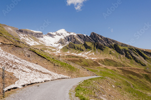 Grindelwald, Grosse Scheidegg, First, Höhenweg, Wanderweg, Alpen, Schilt, Gemsberg, Schwarzhorn, Schweizer Berge, Sommer, Schweiz