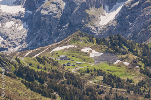 Grindelwald  Berner Oberland  Grosse Scheidegg  Bergstrasse  Berghaus  Alpen  Wetterhorn  Wanderweg  H  henweg  First   Schweizer Berge  Sommer  Schweiz