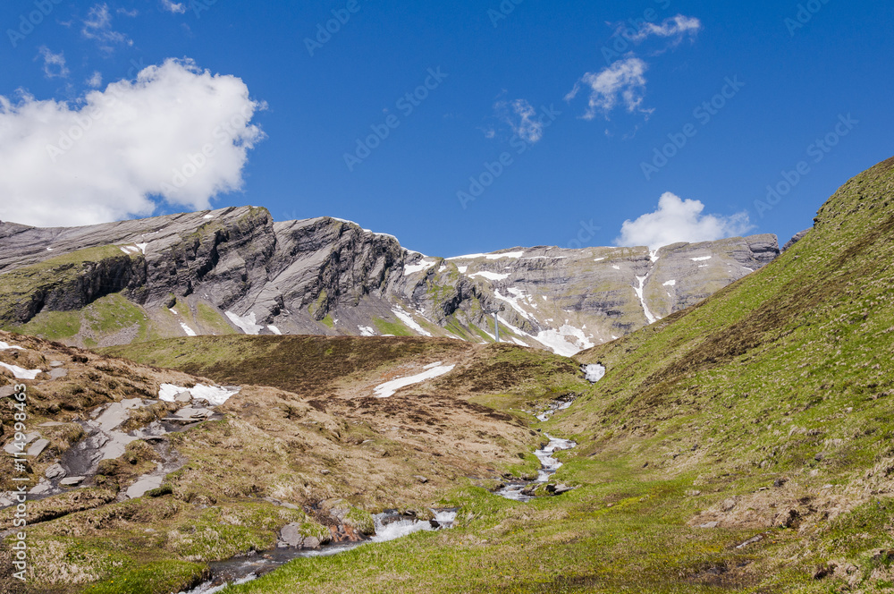 Grindelwald, Berner Oberland, Alpen, Schwarzhorn, Oberjoch, Schilt, Höhenweg, Wanderweg, First, Grosse Scheidegg, Schweizer Berge, Sommer, Schweiz