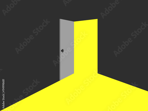 Light from the open door.