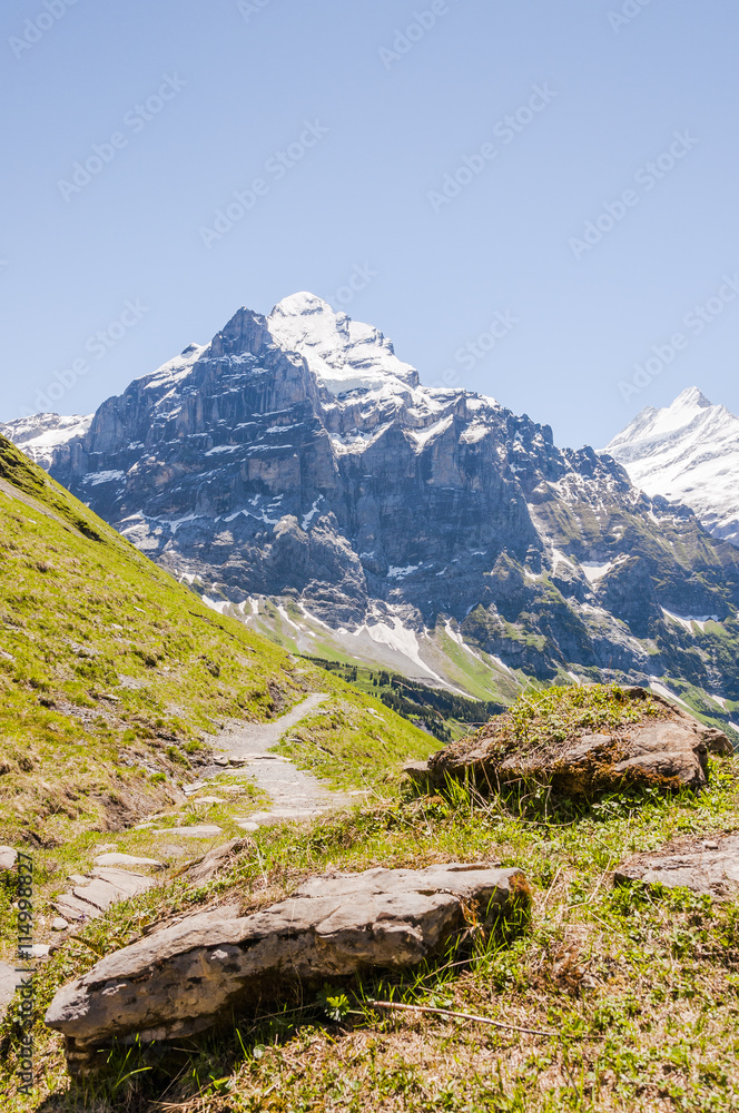 Grindelwald, Berner Oberland, Wetterhorn, Alpen, Höhenweg, Schreckfeld, Wanderweg, Schweizer Berge, Sommer, Schweiz