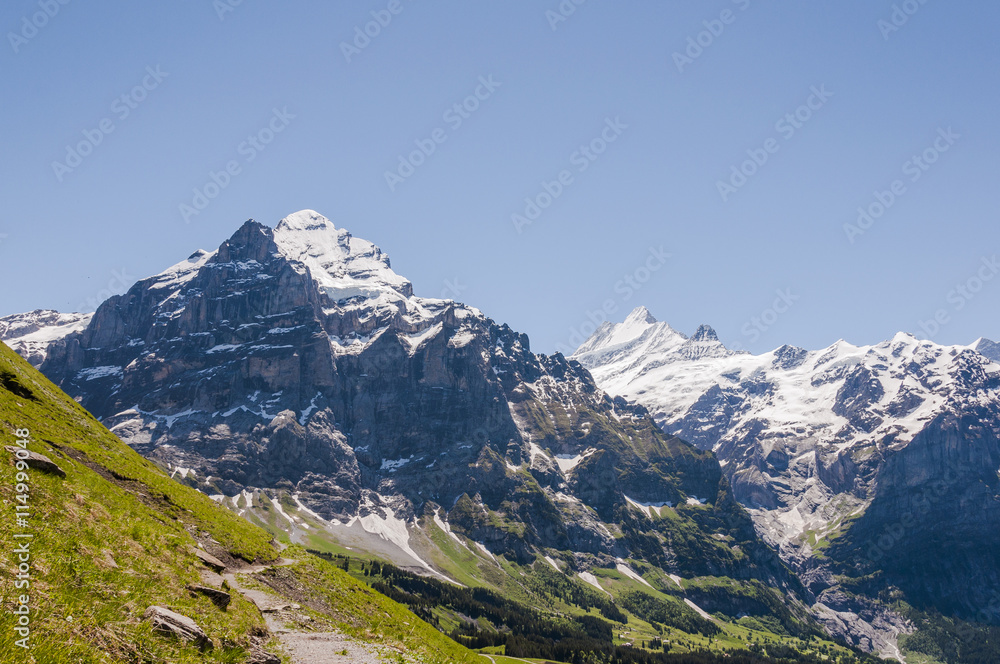 Grindelwald, Berner Oberland, Wetterhorn, Grosse Scheidegg, Schreckhorn, Finsteraarhorn, Wanderweg, Sommer, Schweiz
