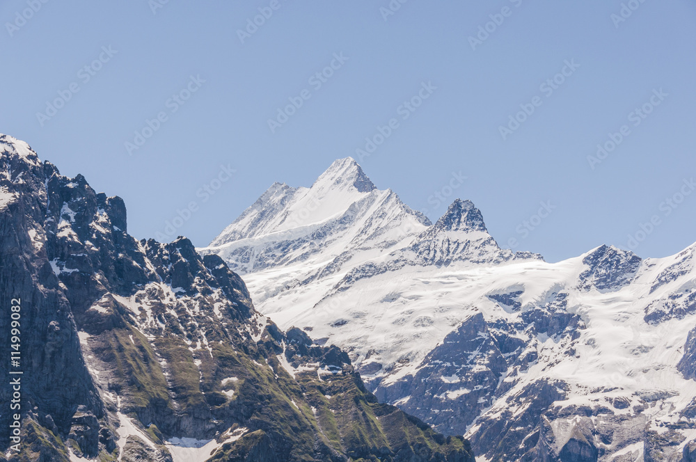 Grindelwald, Berner Oberland, Alpen, Schreckhorn, Wetterhorn, Schweizer Berge, Wanderferien, Sommer, Schweiz