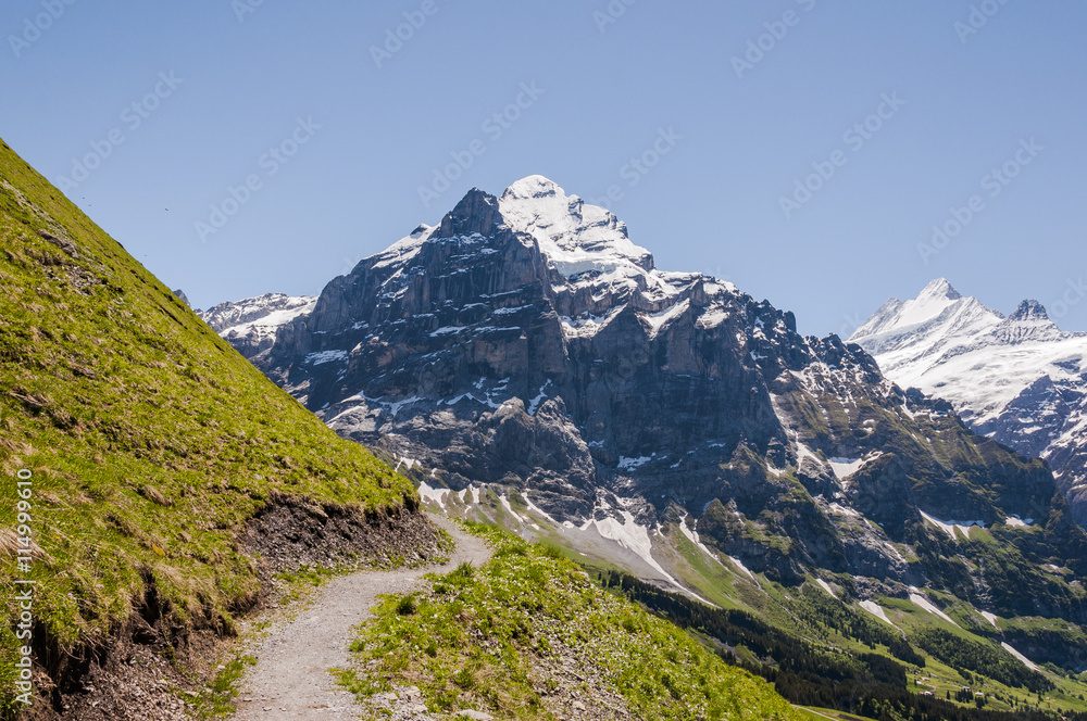 Grindelwald, Berner Oberland, Wetterhorn, Alpen, Schreckhorn, Wanderweg, Höhenweg, Gletscher, Sommer, Schweiz
