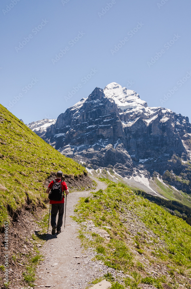 Grindelwald, Berner Oberland, Alpen, Wetterhorn, Grosse Scheidegg, Wanderweg, Höhenweg, Wanderer, First, Sommer, Schweiz