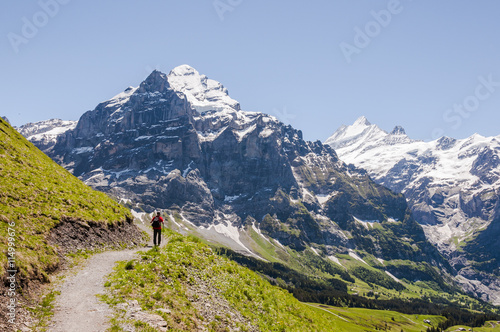 Grindelwald, Alpen, Berner Oberland, Wetterhorn, Grosse Scheidegg, First, Höhenweg, Wanderer, Sommer, Schweiz