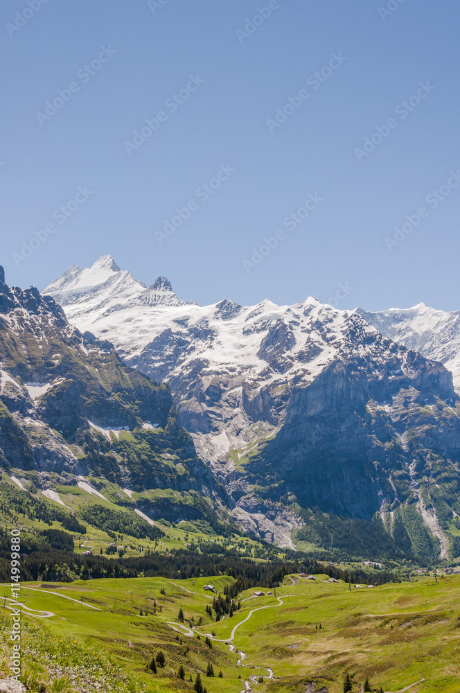 Grindelwald, Berner Oberland, Alpen, Schreckhorn, Grosse Scheidegg, Gletscher, Wanderweg, Bergtal, Sommer, Schweiz