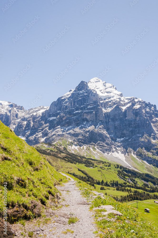 Grindelwald, Berner Oberland, Alpen, Grosse Scheidegg, Wetterhorn, Wanderweg, Wanderferien, First, Sommer, Schweiz