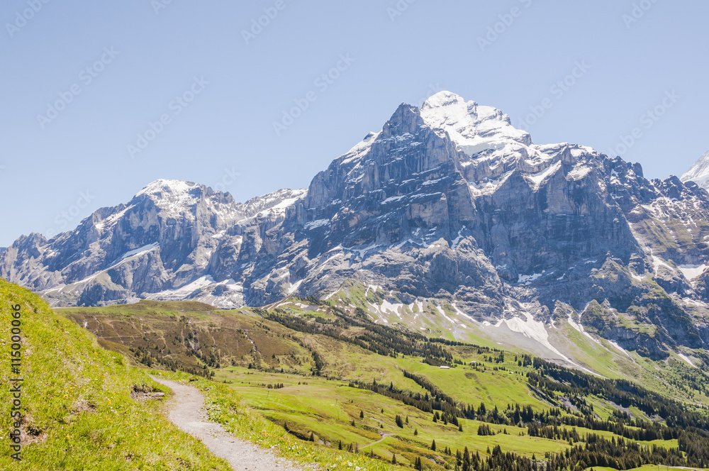 Grindelwald, Grosse Scheidegg, Berner Oberland, Wetterhorn, Engelhörner, Alpen, Wanderweg, Höhenweg, Sommerwanderung, Sommer, Schweiz