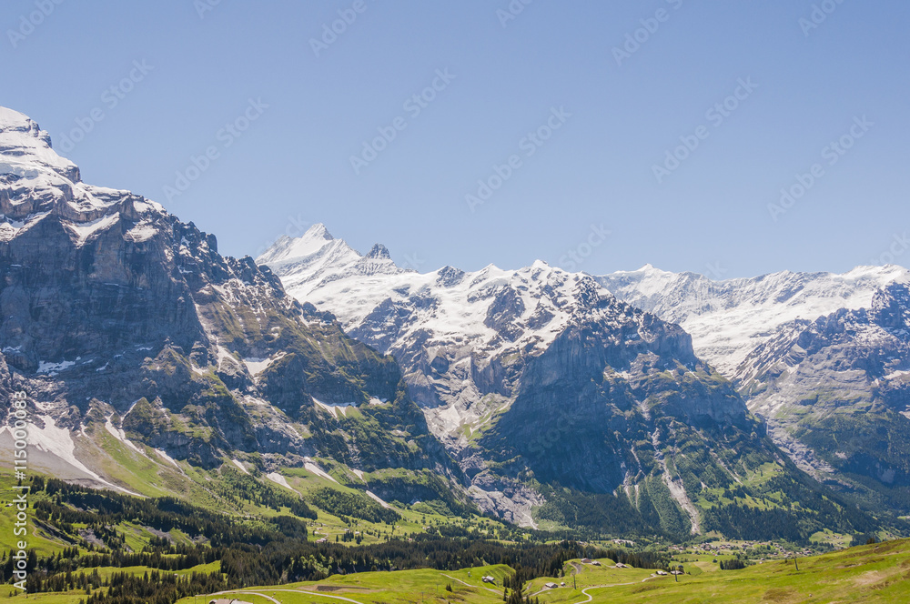 Grindelwald, Berner Oberland, Alpen, Schreckhorn, Wetterhorn, Grindelwaldgletscher, Bergtal, Wanderweg, Grosse Scheidegg, Sommer, Schweiz