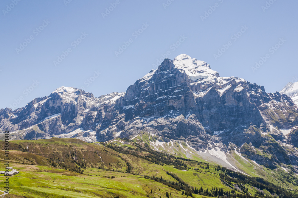 Grindelwald, Berner Oberland, Alpen, Wetterhorn, Engelhörner, Grosse Scheidegg, Wanderweg, Höhenweg, Alm, Rosenlaui, Schweizer Berge, Sommer, Schweiz