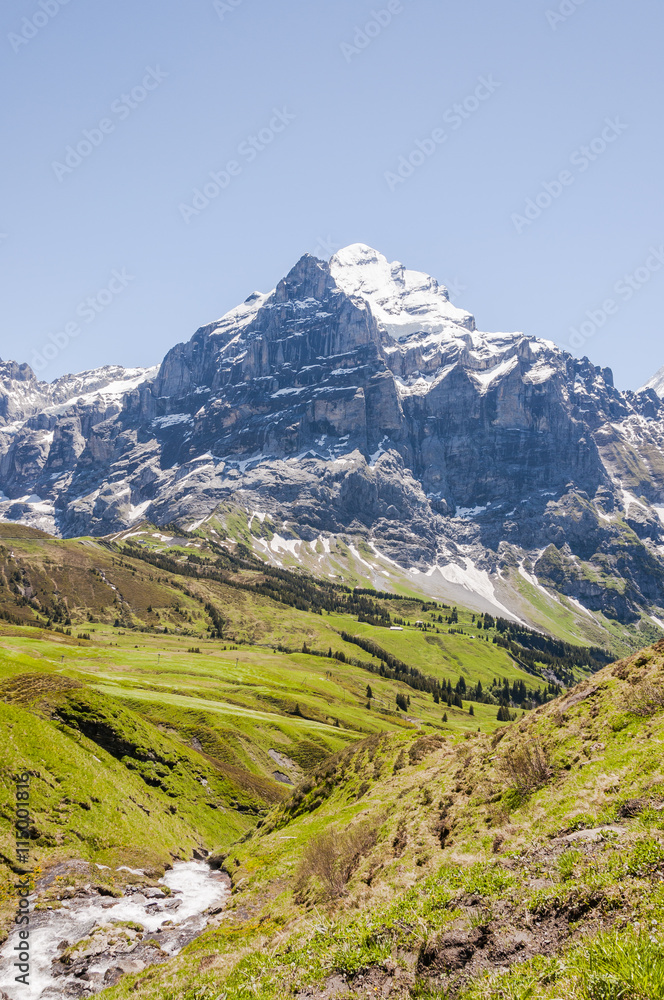 Grindelwald, Berner Oberland, Grosse Scheidegg, Wetterhorn, Alpen, Wanderweg, First, Bergbach, Sommer, Schweiz