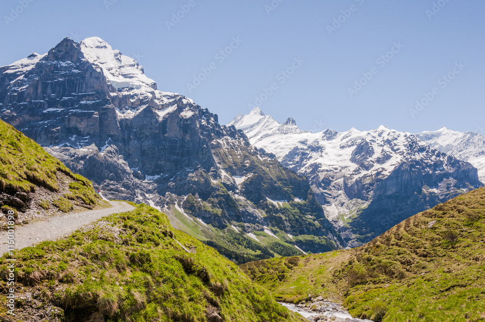 Grindelwald, Berner Oberland, Alpen, Wetterhorn, Schreckhorn, Wanderweg, Höhenweg, First, Grindelwaldgletscher, Sommer, Schweiz