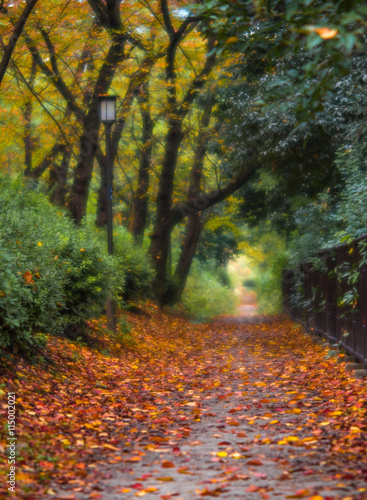 Fototapeta Naklejka Na Ścianę i Meble -  autumnal alley, very soft focus