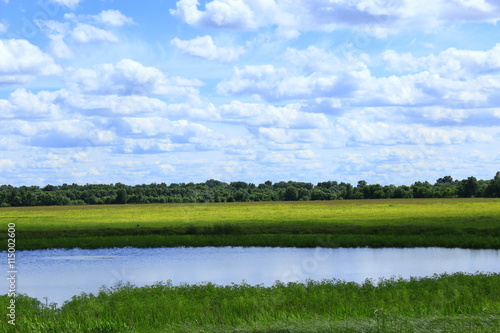 summer landscape with lake in field and clouds