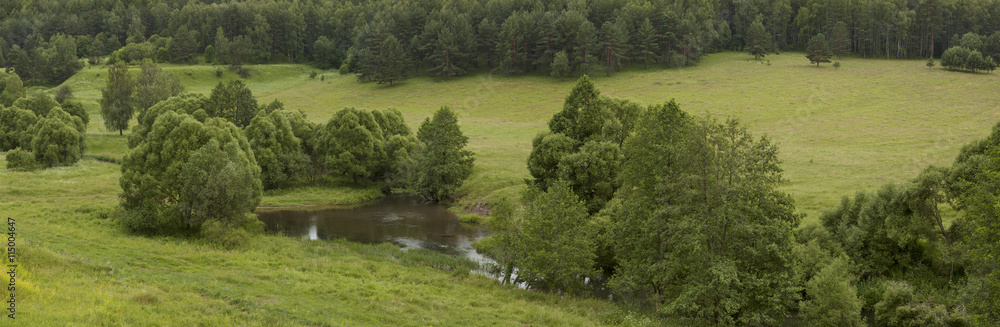 Fototapeta premium Panorama of forest river in the summer.