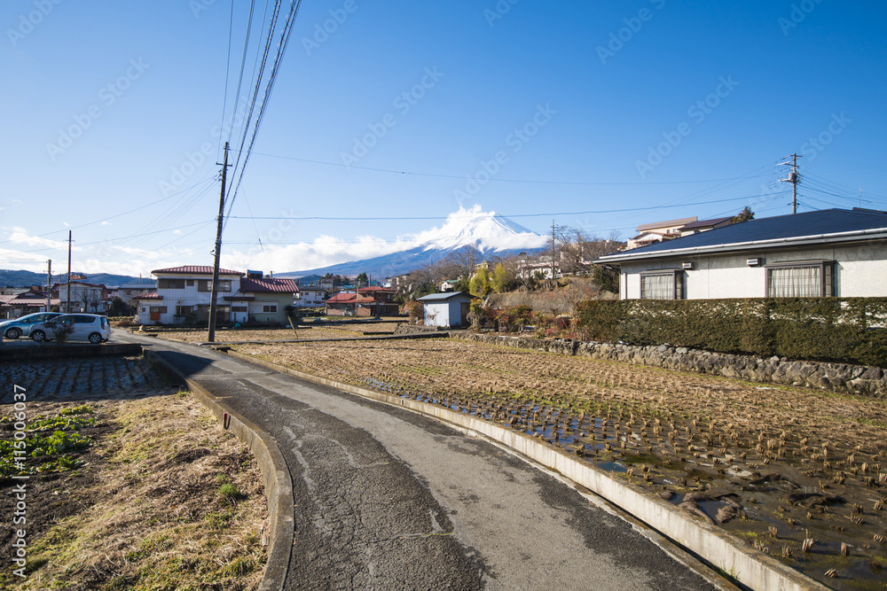  Shimoyoshida village with fuji mountain background, landscape