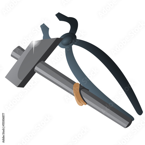 Two working tool, tongs and hammer isolated
