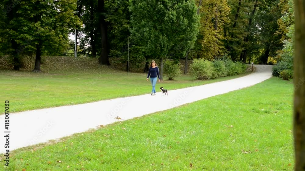 young attractive woman walks french bulldog in the park without leash - dog walks by her leg - obedient - dog jump on her leg on the end young attractive woman walks french bulldog in the park without leash - dog walks by her leg - obedient - dog jump on her leg on the end