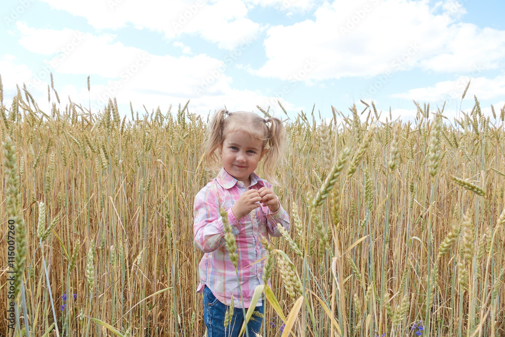 Little preschooler girl happily in wheat field on warm and sunn Little preschooler girl happily in wheat field on warm and sunn