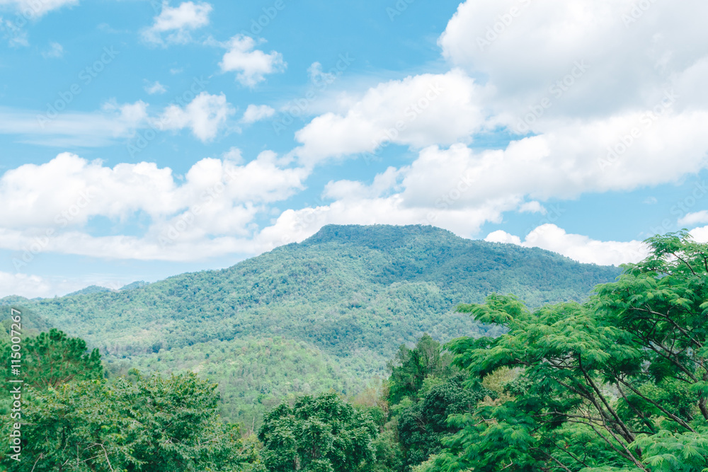 mountain landscape