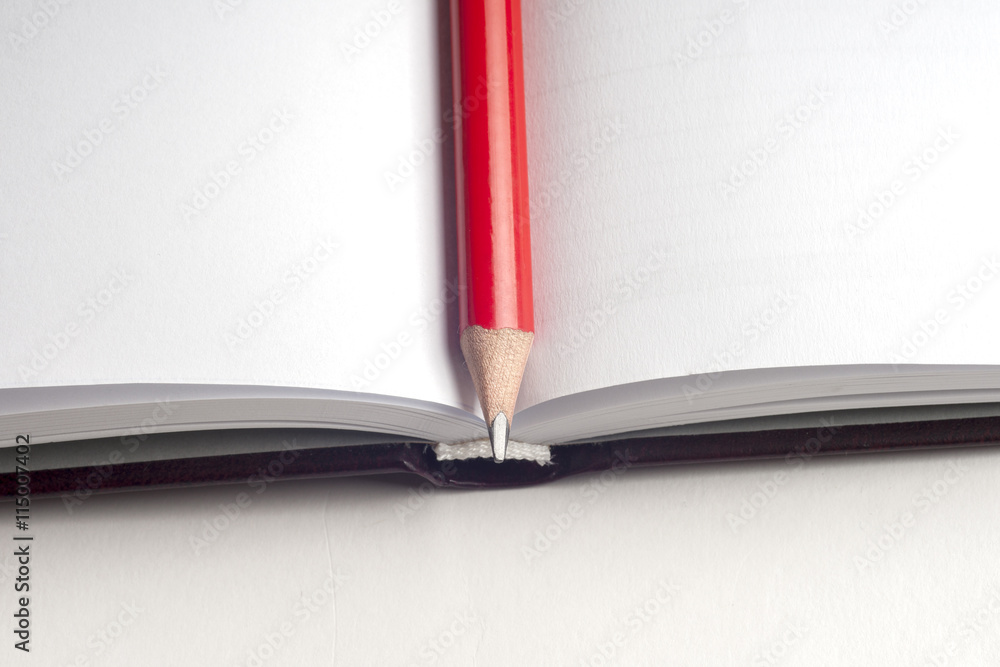 Naklejka premium Close-up of open book and pen.