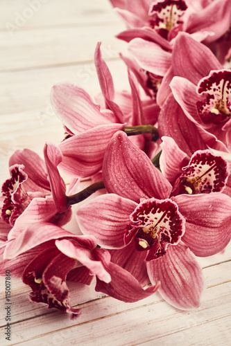 Fototapeta Naklejka Na Ścianę i Meble -  Orchid flowers