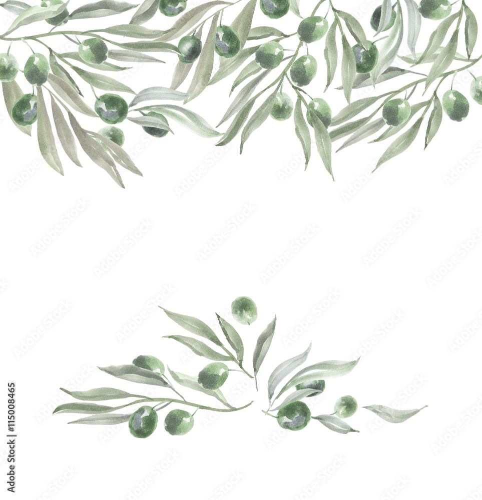 header template with olives and leaves. watercolor illustration