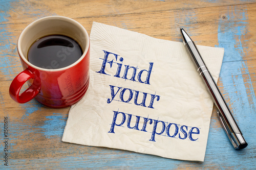 Find your purpose advice